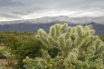 First snow on Catalina Mtns