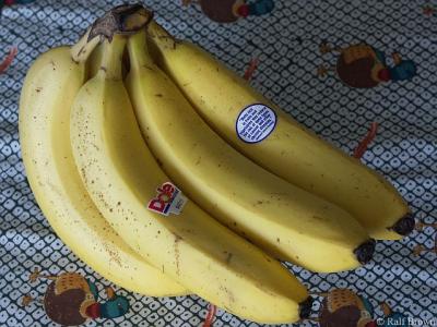 2004-11-04 Bananas