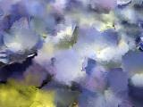 hydrangea-impressionist-bru.jpg