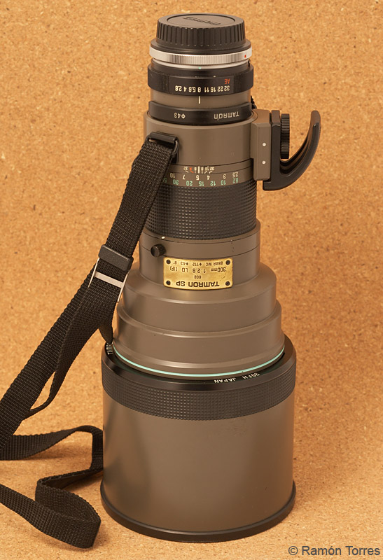 VF9H9801Tamron30028SP.jpg