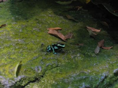 IMG_0343.JPG