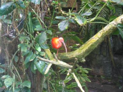 IMG_0355.JPG