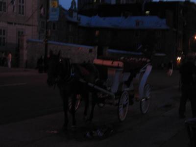 IMG_0379.JPG