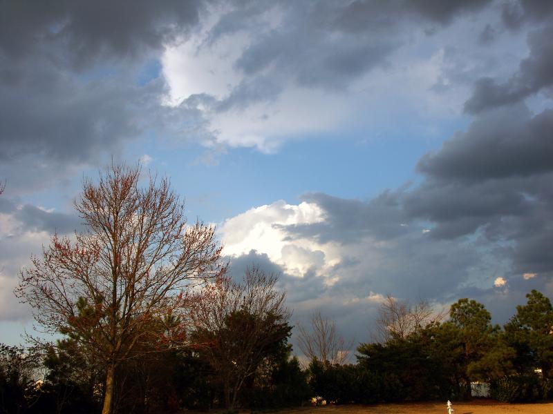 Coming Rain