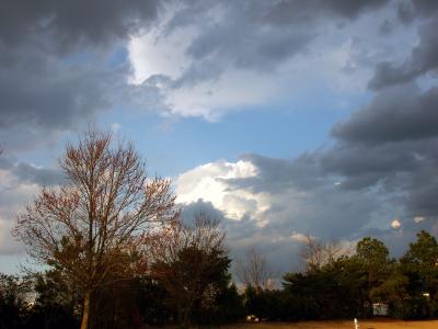 Coming Rain