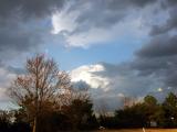 Coming Rain