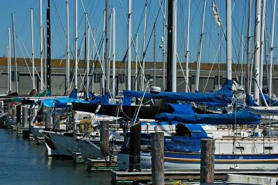 DSC_1092w.jpg