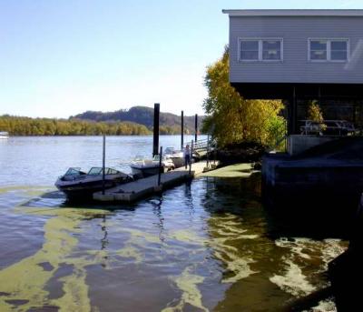 Dock in Lansing