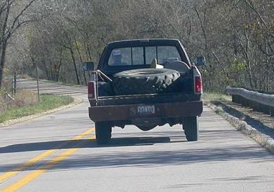 Truck which almost wiped out Harlan & Donna (license:  846-AAR, Allamakee Co, IA)