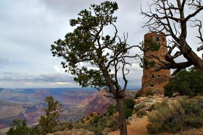 Canyon Tower.jpg