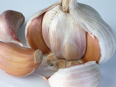 White Garlic.jpg