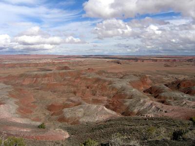 The Painted Desert