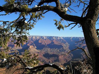 Canyon Frame