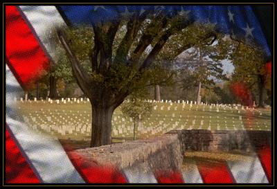Veteran's Day, 2004