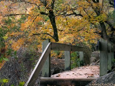 Bridge Over Fall