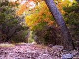Falling East Trail