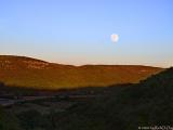 Fall Moonrise in Hill Country