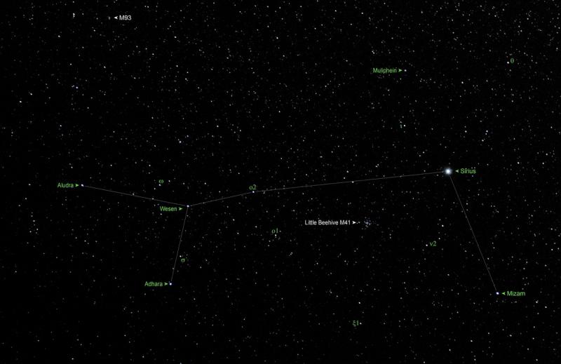 Canis Major