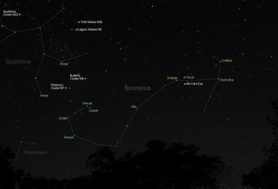 u49/rmaruzzi/medium/40956292.Scorpious_labeled.jpg