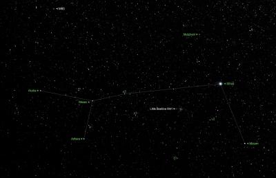 Canis Major