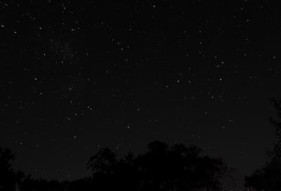 u49/rmaruzzi/medium/40974709.Scorpious_24mm_6X13.jpg