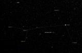 Canis Major