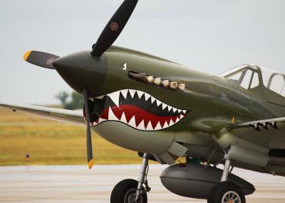 rmr04-05117_edited.jpg