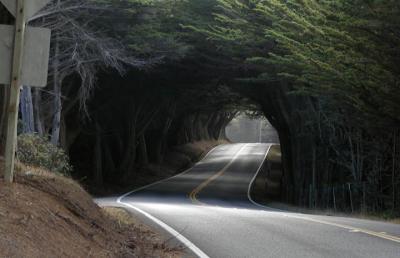 Cypress Tunnel