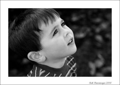 CRW_2591