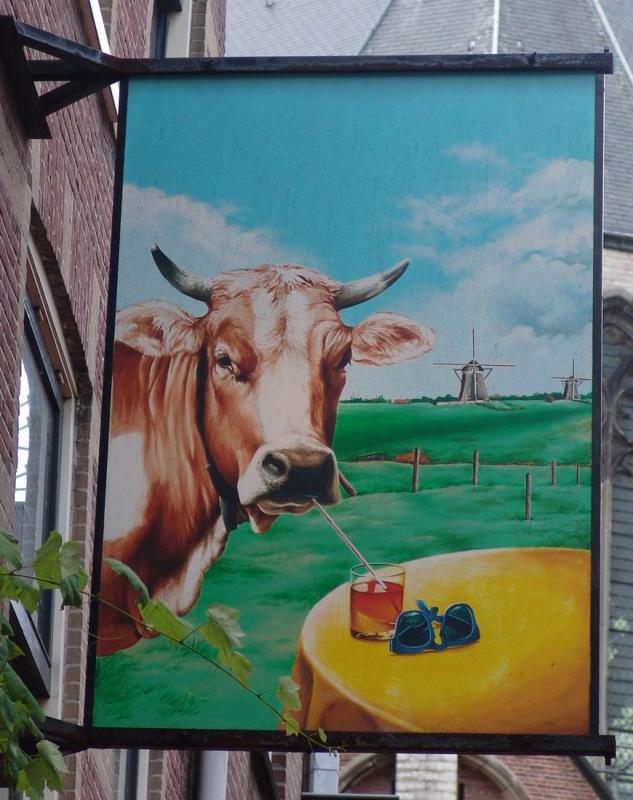 Caf the Spotted Cow