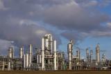 Petrochemical beauty