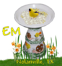 em birdbath.jpg
