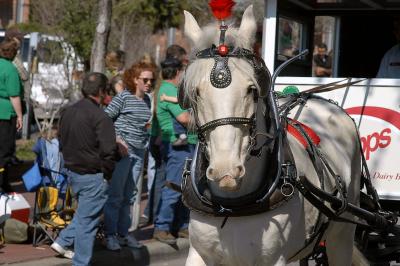 Saint Patrick Day Parade-Dallas,Tx.