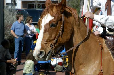 Saint Patrick Day Parade-Dallas,Tx.