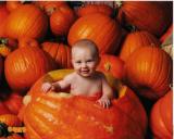pumpkin.jpg