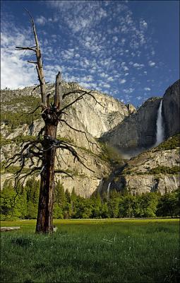0705-Yosemite-Medow-Revisit.jpg
