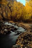 4808-Strm-through-Fall-2.jpg