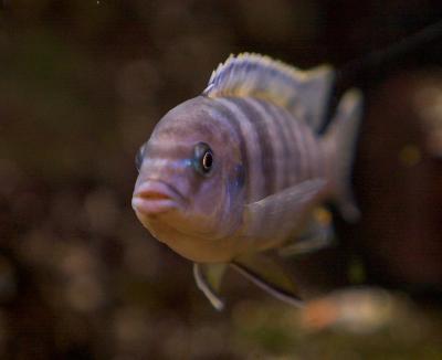 IMG_9820pf.jpg