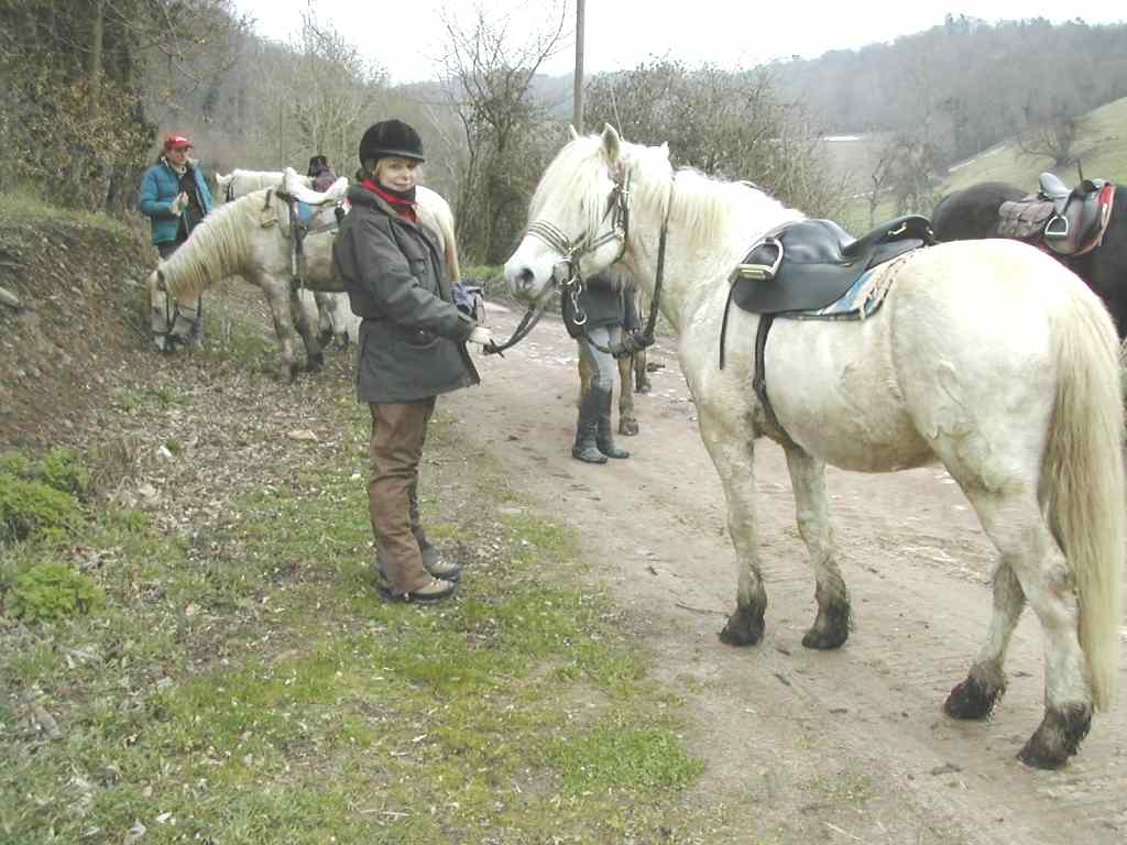 camargue