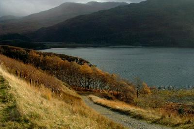 polnish fishery