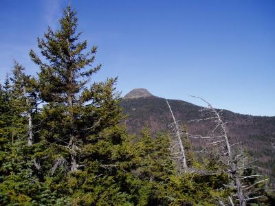 Our destination summit appears on the way up Forrest City trail.