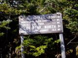 High up on Camels Hump