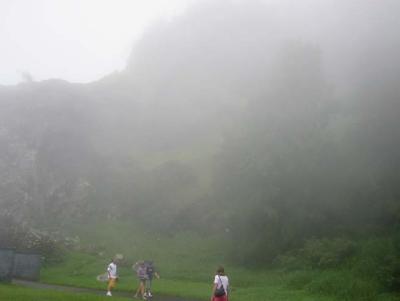 pali2.jpg