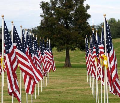 Honoring fallen heroes on Veterans Day