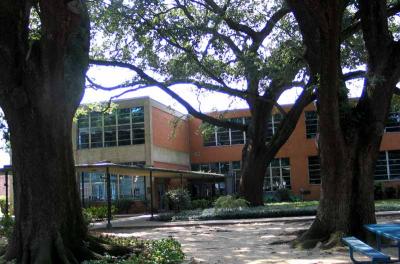 Under oaks at Holy Cross School