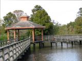 Gazebo in Marsh Area