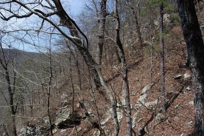 u49/serpentchaser82/medium/40994048.slope.jpg