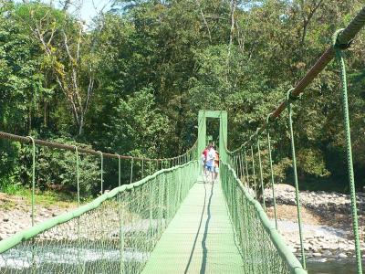 Suspension bridge