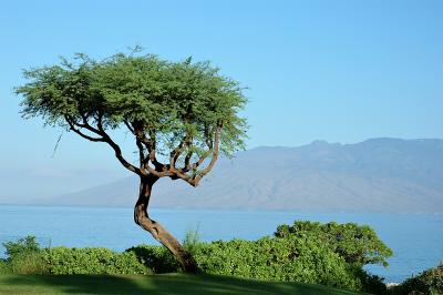 Renaissance Hotel Wailea Beach