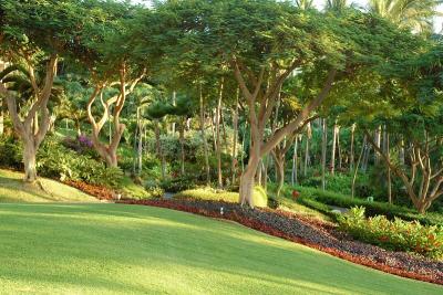 Renaissance Hotel Wailea Beach